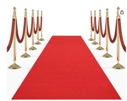 Carpet (red or pink) with stanchion set